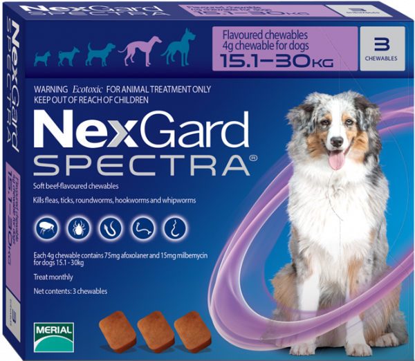 NexGard Spectra สุนัข 15.1-30 กก ยากินกำจัดเห็บหมัด กันพยาธิหัวใจ ถ่ายพยาธิลำไส้